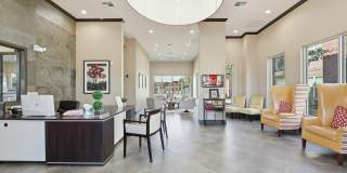 Anatole at City View Gallery 16