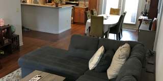 Horatio Place Gallery 8