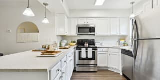 Cobalt Ridge Gallery 1