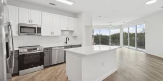 The Boulevard Gallery 50