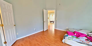 113 CELLO STREET Gallery 14