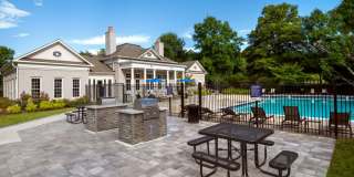 Alvista Bowie Gallery 16