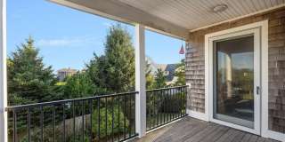 9 White Terrace Gallery 15