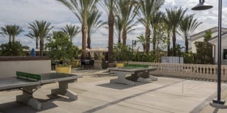 Homecoming at The Preserve Gallery 65