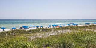 Gorgeous 4 bedroom pool house for rent w/ deeded beach access + pool & yard service included in the rent! Gallery 57