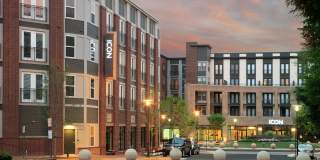 Icon at Dulles Gallery 1