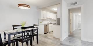Spring Lake Cove Gallery 3