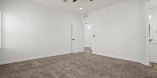 4549 MARK AVIZO Gallery 12