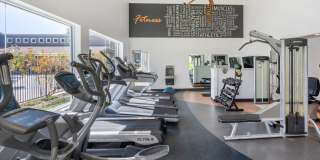 Serramonte Ridge Gallery 14