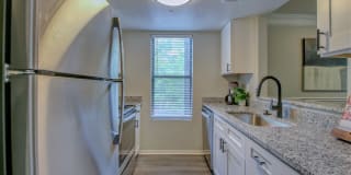 Muse Apartments Gallery 16