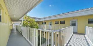 Dolphin Beach Gallery 4