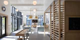 The Margo Gallery 17
