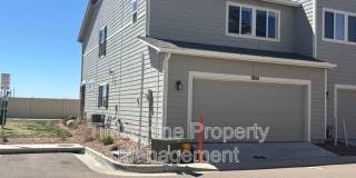 7824 Woodmen Center Heights Gallery 26