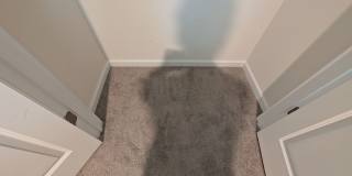 Room in 3 Bedroom Home at North Mills Rd Gallery 15