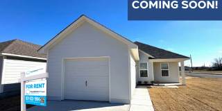 316 Chestnut Street Gallery 1