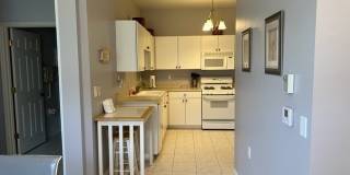 10541 Diamante Way Gallery 9