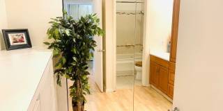 BEAUTIFUL CONDO! 2 MINUTE WALK TO CAMPUS! FREE RENT UNTIL MAY 1, 2026!! Gallery 8