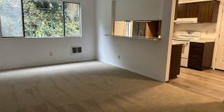 237 Woodhill Avenue - 1 Gallery 1