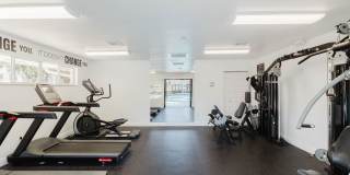 Legacy Palm Gardens Gallery 10