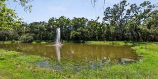 Preserve at Westchase Gallery 36