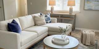 1009 Andrews Peak Dr Gallery 5