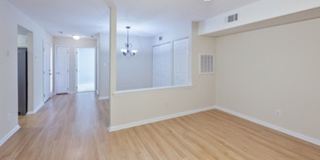 Condo for rent Gallery 24