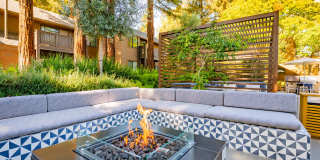 Old Orchard Apartments Gallery 17