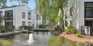 Park Lake at Walnut Creek Gallery 31