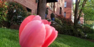 2655 41ST Street NW Gallery 2