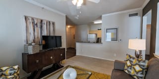 Ascent North Gallery 7