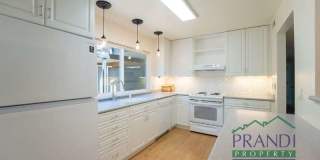 137 Pixley Avenue Gallery 3