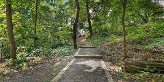 5901 MOUNT EAGLE Drive Gallery 82
