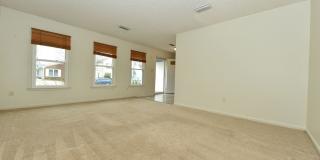 Gourmet Kitchen! Gallery 5