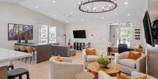 Avanterra Queen Creek Gallery 18