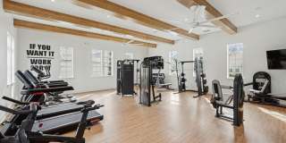 Hamlet Wildlight Gallery 24