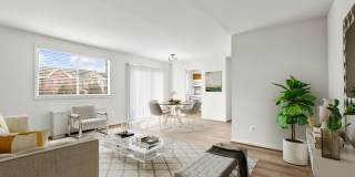 International Apartments Gallery 3