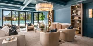 The Canopy Gallery 24