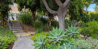6907 Quail Pl. Gallery 37