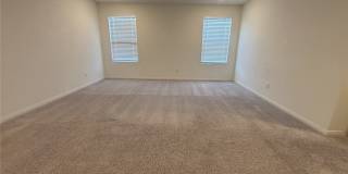 7008 Dandelion Park Avenue Gallery 75