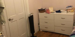 17 symphony Gallery 8