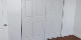 21862 Dracaea Gallery 9