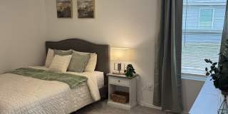 342 Pink Footed Pass Gallery 1