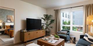 Orlo & Alba Gallery 45