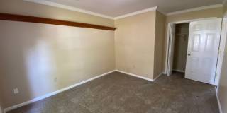 Beautiful 3 bedroom 2 bath home in Northchase Gallery 36