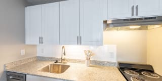 The Iris The Iris Gallery 2