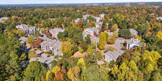 Cary Greens at Preston Gallery 54