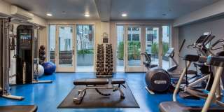 Eviva Midtown Gallery 13