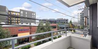 Union Bay Gallery 19