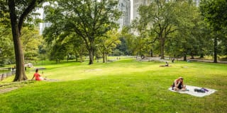 West 54th Gallery 33