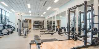 Beckert's Park Gallery 21